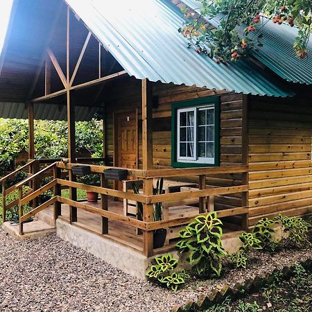Cabana De Campo En El Lago De Yojoa Santa Cruz de Yojoa Eksteriør billede